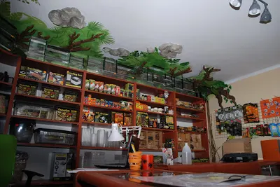 Spider Shop sklep terrarystyczny